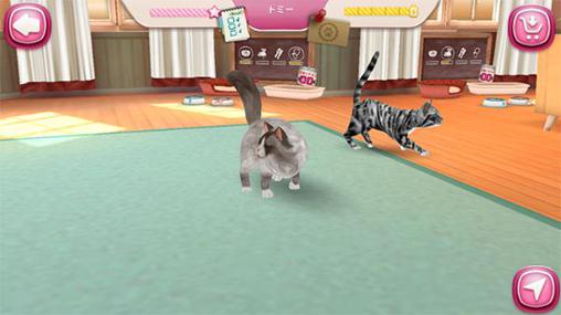 Gameplay of the Cat hotel: Hotel for cute cats for Android phone or tablet.