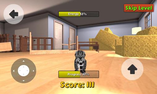 Gameplay of the Cat simulator for Android phone or tablet.
