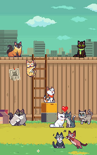 Cats jump! - Android game screenshots.