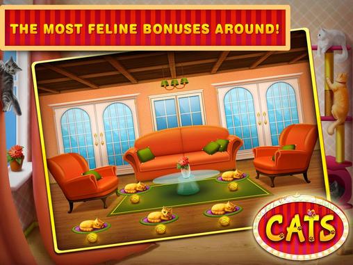 Gameplay of the Cats slots: Casino vegas for Android phone or tablet.