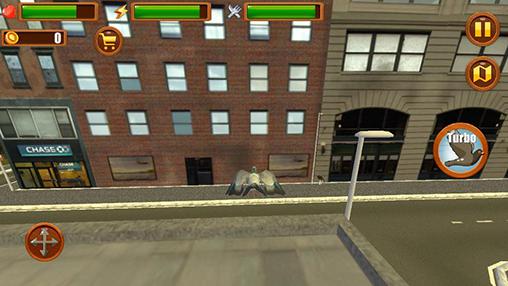 Gameplay of the City bird: Pigeon simulator 3D for Android phone or tablet.