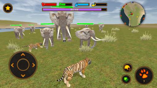 Gameplay of the Clan of tigers for Android phone or tablet.
