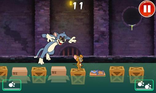 Gameplay of the Crazy cat: Tom catches Jerry for Android phone or tablet.