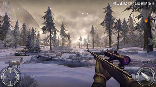 Deer hunter 2017 - Android game screenshots.