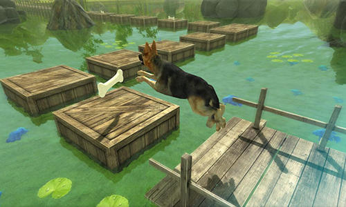 Dog simulator 3D - Android game screenshots.