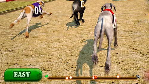 Gameplay of the Dog race and stunts 2016 for Android phone or tablet.