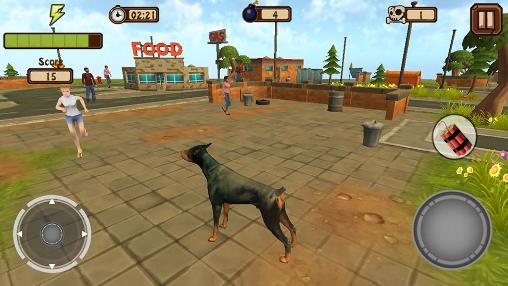 Gameplay of the Doggy dog world for Android phone or tablet.