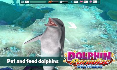 Gameplay of the Dolphin paradise. Wild friends for Android phone or tablet.