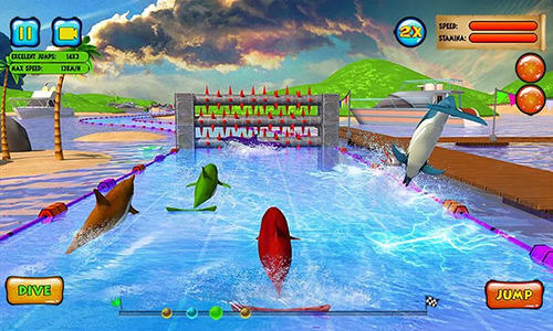 Gameplay of the Dolphin racing 3D for Android phone or tablet.