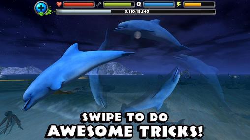 Gameplay of the Dolphin simulator for Android phone or tablet.