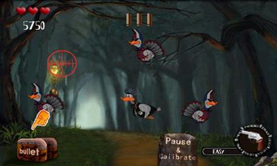 Gameplay of the Duck Hunter for Android phone or tablet.