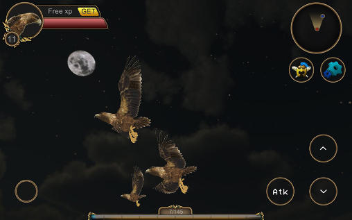 Gameplay of the Eagle bird simulator for Android phone or tablet.