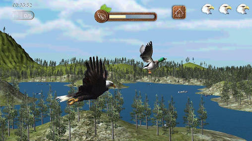 Gameplay of the Eagle play for Android phone or tablet.