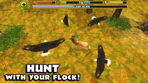 Gameplay of the Eagle simulator for Android phone or tablet.