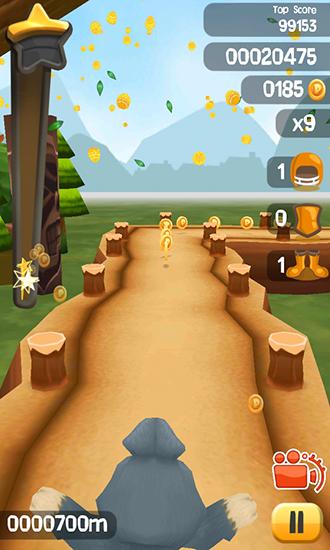 Gameplay of the Easter bunny. Rabbit frenzy: Easter eggs storm for Android phone or tablet.