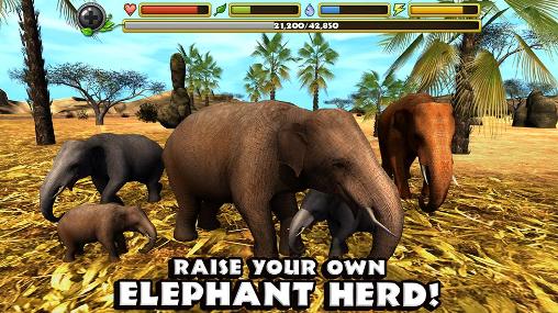 Gameplay of the Elephant simulator for Android phone or tablet.