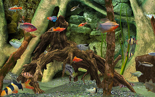 Fish farm 3: 3D aquarium simulator - Android game screenshots.