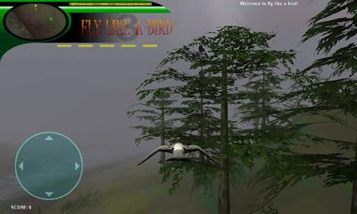 Full version of Android apk app Fly Like a Bird 3 for tablet and phone.