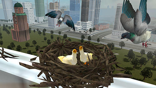 Gameplay of the Flying bird pigeon simulator 2 for Android phone or tablet.