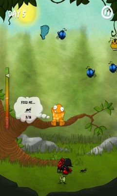 Gameplay of the Froad for Android phone or tablet.