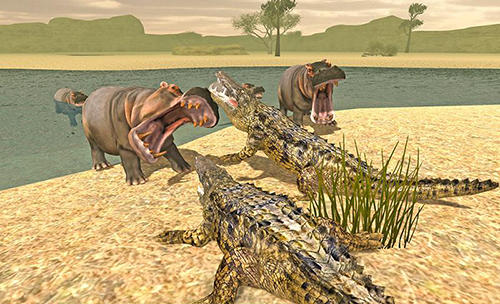 Gameplay of the Furious crocodile simulator for Android phone or tablet.