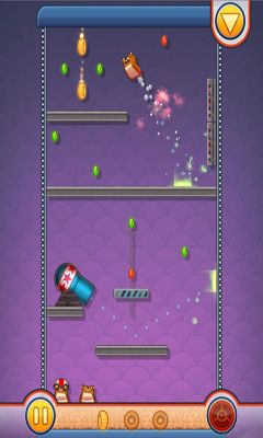 Gameplay of the Hamster Cannon for Android phone or tablet.