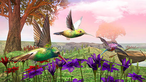 Hummingbird simulator 3D - Android game screenshots.