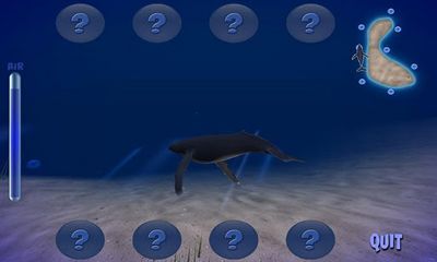 Gameplay of the Humpback Whale for Android phone or tablet.