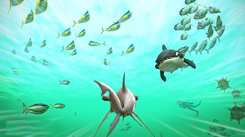 Hungry shark VR - Android game screenshots.
