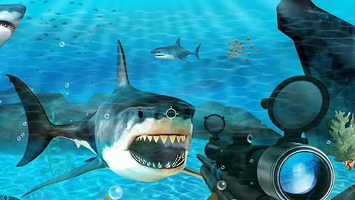 Gameplay of the Hungry shark hunting for Android phone or tablet.