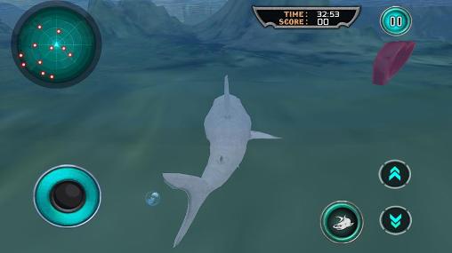 Gameplay of the Hungry white shark revenge 3D for Android phone or tablet.
