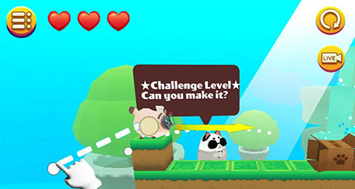 Kitty in the box 2 - Android game screenshots.