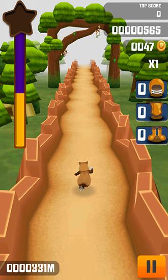 Gameplay of the Kitty run: Crazy cats for Android phone or tablet.