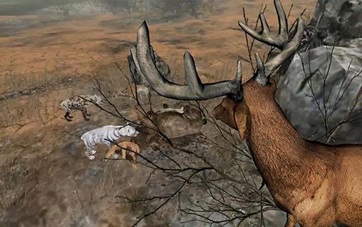 Gameplay of the Life of deer for Android phone or tablet.