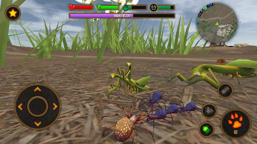 Gameplay of the Life of spider for Android phone or tablet.