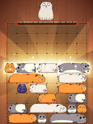 Maru slide: Block puzzle - Android game screenshots.