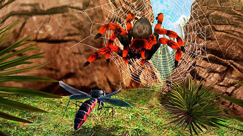 Mosquito insect simulator 3D - Android game screenshots.