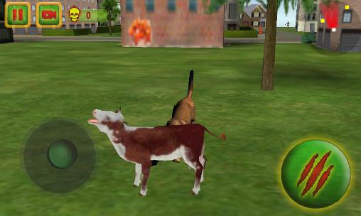 Gameplay of the Mountain lion rampage 3D for Android phone or tablet.