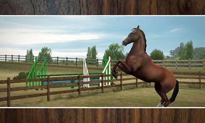 Full version of Android apk app My Horse for tablet and phone.