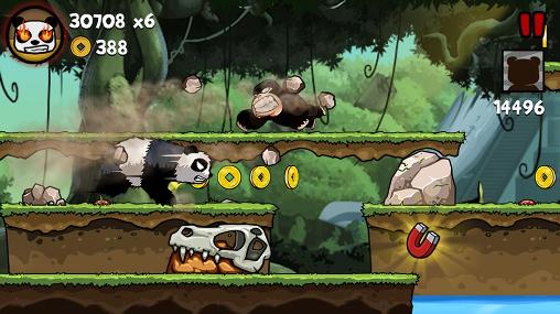 Gameplay of the Panda run by Divmob for Android phone or tablet.