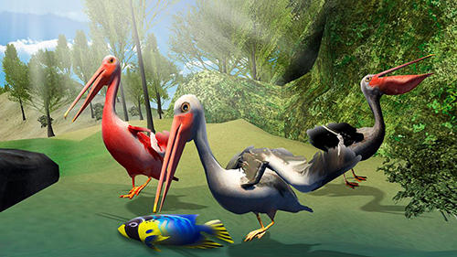 Pelican bird simulator 3D - Android game screenshots.