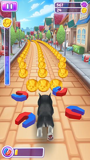 Gameplay of the Pet run for Android phone or tablet.