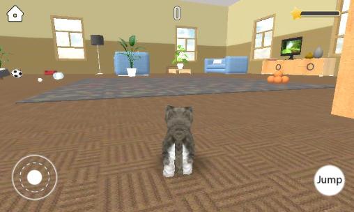 Gameplay of the Pet simulator for Android phone or tablet.