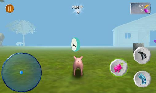 Gameplay of the Pig simulator for Android phone or tablet.