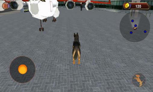 Gameplay of the Police dog simulator 3D for Android phone or tablet.