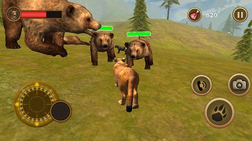 Gameplay of the Puma survival: Simulator for Android phone or tablet.