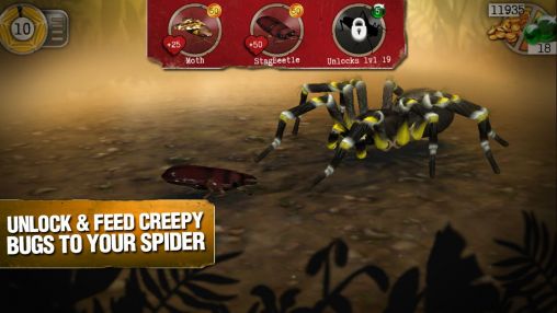 Gameplay of the Real scary spiders for Android phone or tablet.