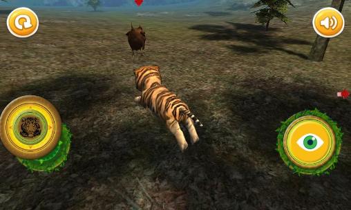 Gameplay of the Real tiger cub simulator for Android phone or tablet.