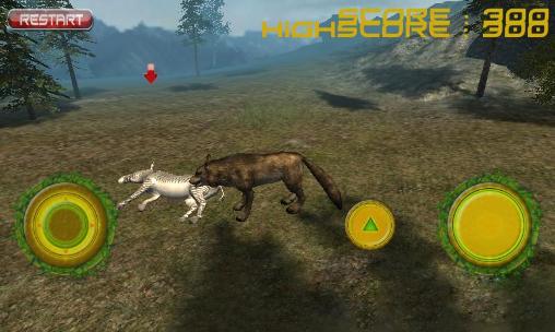 Gameplay of the Real wolf simulator for Android phone or tablet.