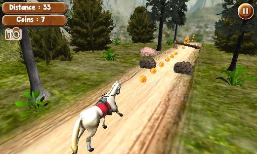 Gameplay of the Run horse run for Android phone or tablet.